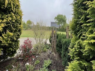 Villa Ouddorp Umgebung 22