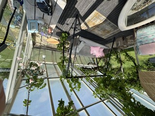 Holiday house Ouddorp Outdoor Recording 26