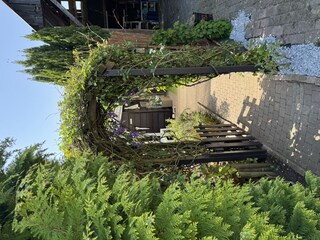 Holiday house Ouddorp Outdoor Recording 33