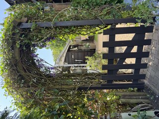 Ferienhaus Ouddorp Außenaufnahme 33