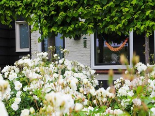 Villa Ellewoutsdijk Ambiente 29