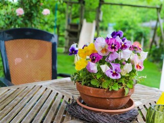 Casa de vacaciones Ellewoutsdijk Grabación al aire libre 17