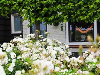Casa de vacaciones Ellewoutsdijk Grabación al aire libre 46