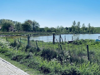 Vakantiehuis Ellewoutsdijk Buitenaudio-opname 29