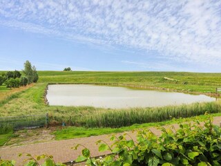 Holiday house Ellewoutsdijk Outdoor Recording 39