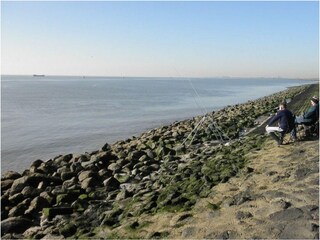 Holiday house Ellewoutsdijk Outdoor Recording 57