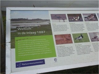 Holiday house Ellewoutsdijk Outdoor Recording 45