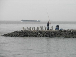 Holiday house Ellewoutsdijk Outdoor Recording 46