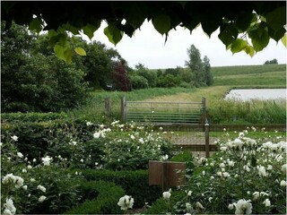 Holiday house Ellewoutsdijk Outdoor Recording 47