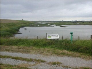 Holiday house Ellewoutsdijk Outdoor Recording 49