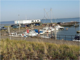 Ferienhaus Ellewoutsdijk Außenaufnahme 50