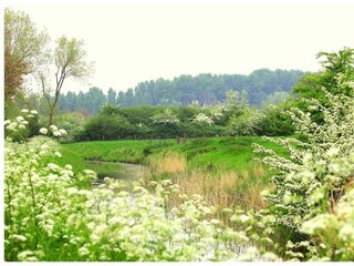 Holiday house Ellewoutsdijk Outdoor Recording 54