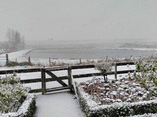 Casa de vacaciones Ellewoutsdijk Grabación al aire libre 56