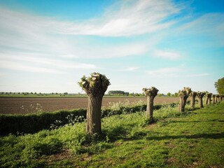 Casa per le vacanze Sluis Registrazione all'aperto 39