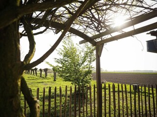 Vakantiehuis Sluis Buitenaudio-opname 42