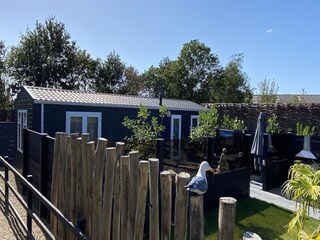 Chalet Renesse Buitenaudio-opname 5