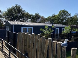 Chalet Renesse Außenaufnahme 11