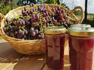 Villa Renesse Ambiente 24