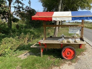 Casa de vacaciones Renesse Grabación al aire libre 31