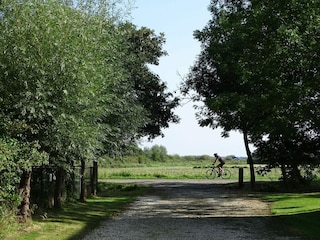 Ferienhaus Renesse Außenaufnahme 36