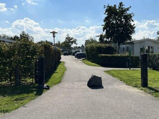 Casa de vacaciones Breskens Grabación al aire libre 41