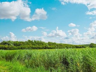 Vakantiehuis Westkapelle  29