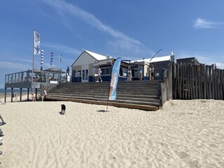 Chalet Renesse  47