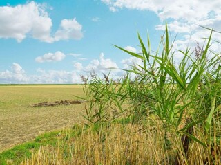 Villa Kattendijke Environment 29