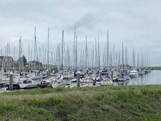 Ferienhaus Wemeldinge Außenaufnahme 6