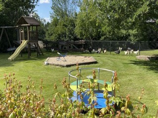 Chalet Walsoorden Registrazione all'aperto 5