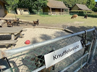 Chalet Walsoorden Außenaufnahme 21