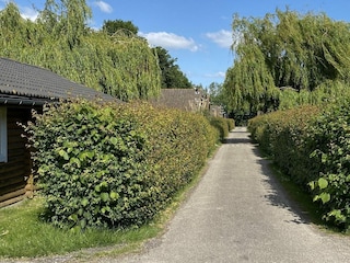 Chalet Walsoorden Außenaufnahme 27