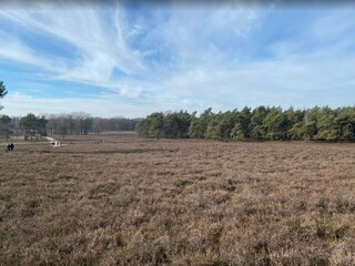 Casa de vacaciones Hattem Entorno 49