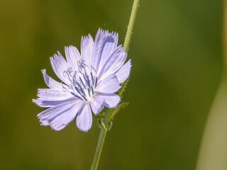 Maison de vacances Hattem  36