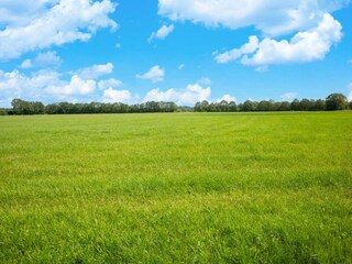 Casa per le vacanze Hattem Ambiente 22