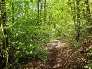 Casa per le vacanze Hattem Ambiente 21