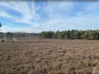 Maison de vacances Hattem Environnement 33