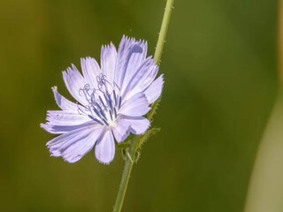 Maison de vacances Hattem  36