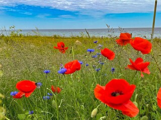 Maison de vacances Lumsås  13