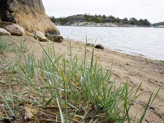 Vakantiehuis Strömstad  16