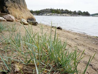 Vakantiehuis Strömstad  9
