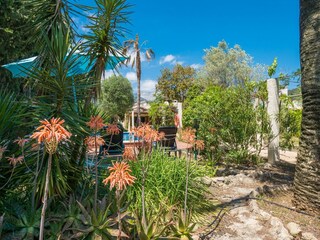 Villa Búger Außenaufnahme 8