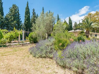 Villa Búger Entorno 40