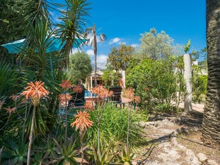 Villa Búger Grabación al aire libre 16