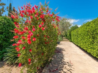 Villa Búger Environnement 41