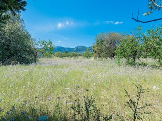 Villa Búger Environnement 41