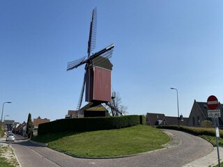 Chalet Sint-Annaland  31