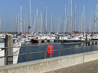 Chalet Sint-Annaland Outdoor Recording 29