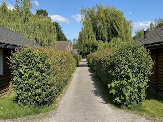 Chalet Walsoorden  19