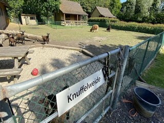 Chalet Walsoorden  31